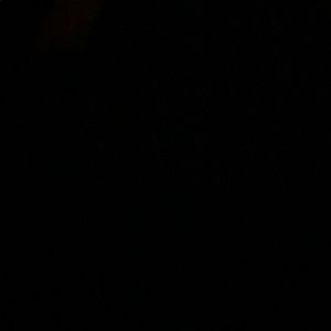 Meet your Posher, Dylan